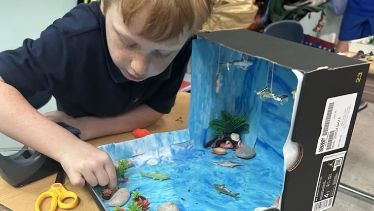 Student's learning